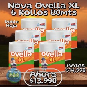 XL!! 6 rollos toalla nova Ovella 80 metros DOBLE HOJA ULTRA ABSORBENTE